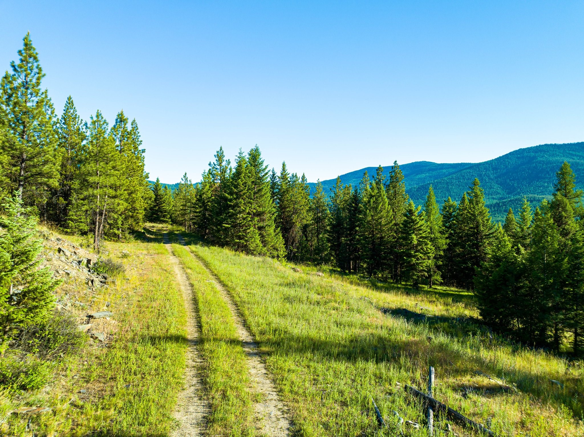 467 Wolf Creek Road Property Photo 10