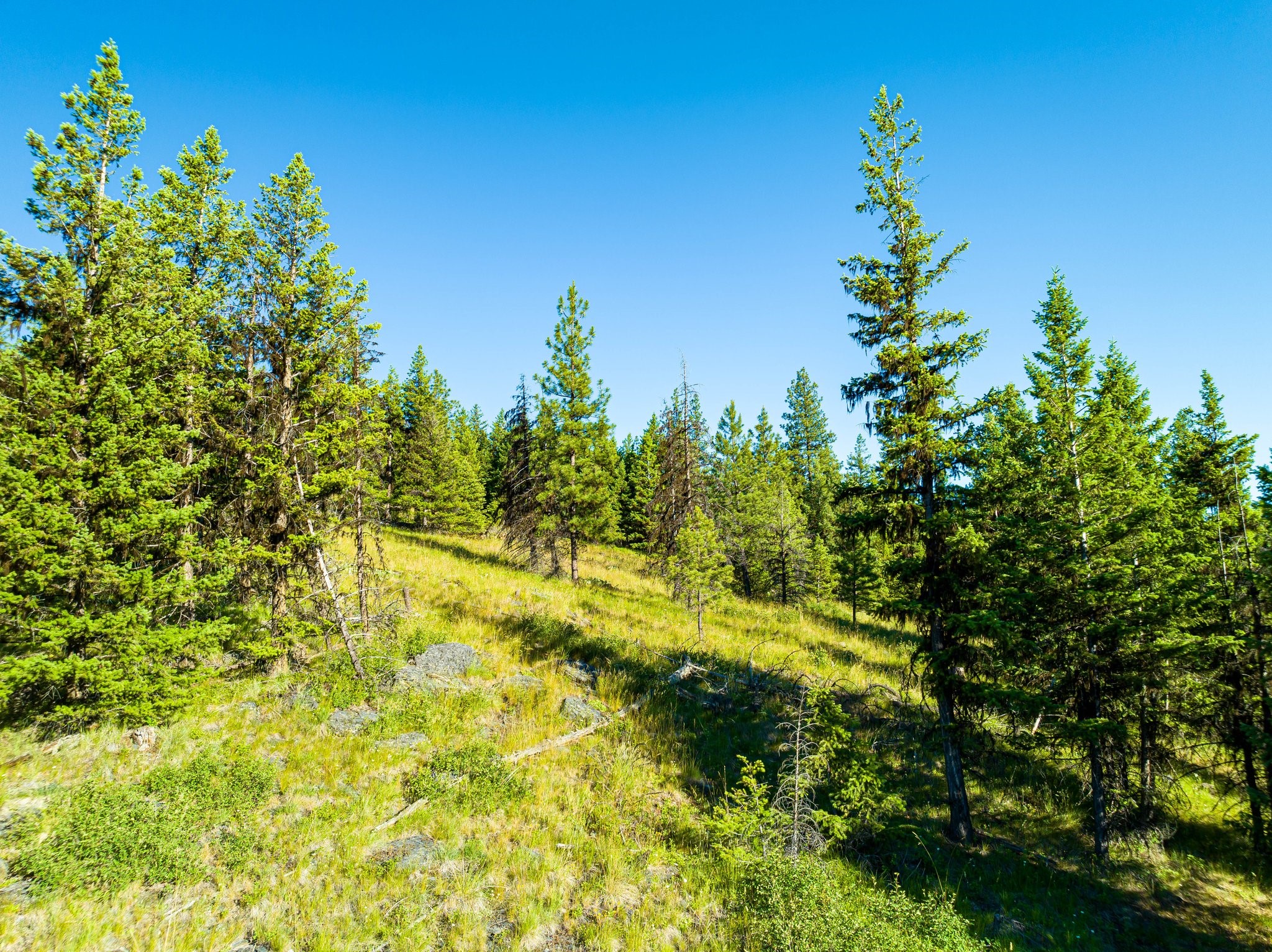 467 Wolf Creek Road Property Photo 11