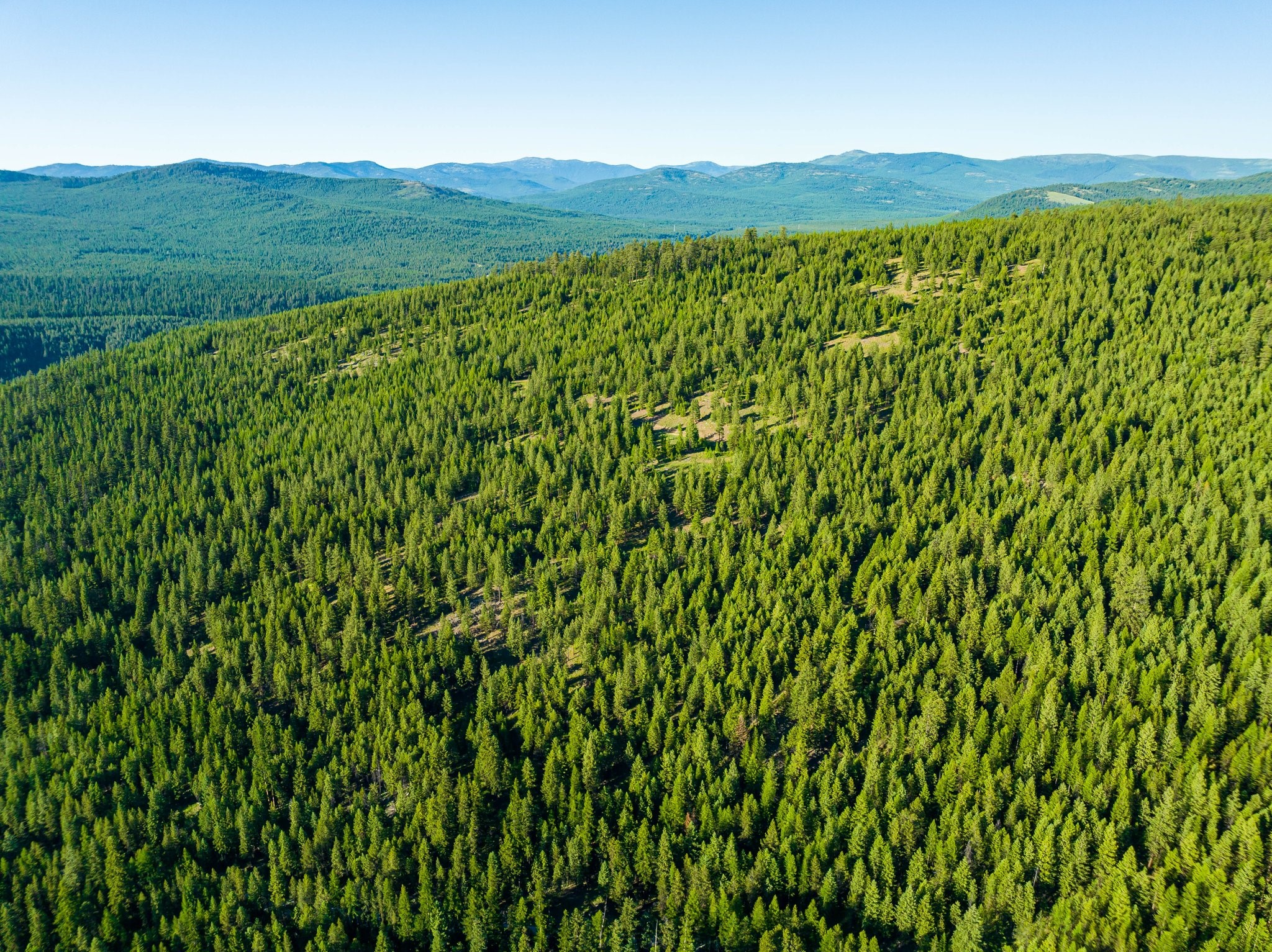 467 Wolf Creek Road Property Photo 13
