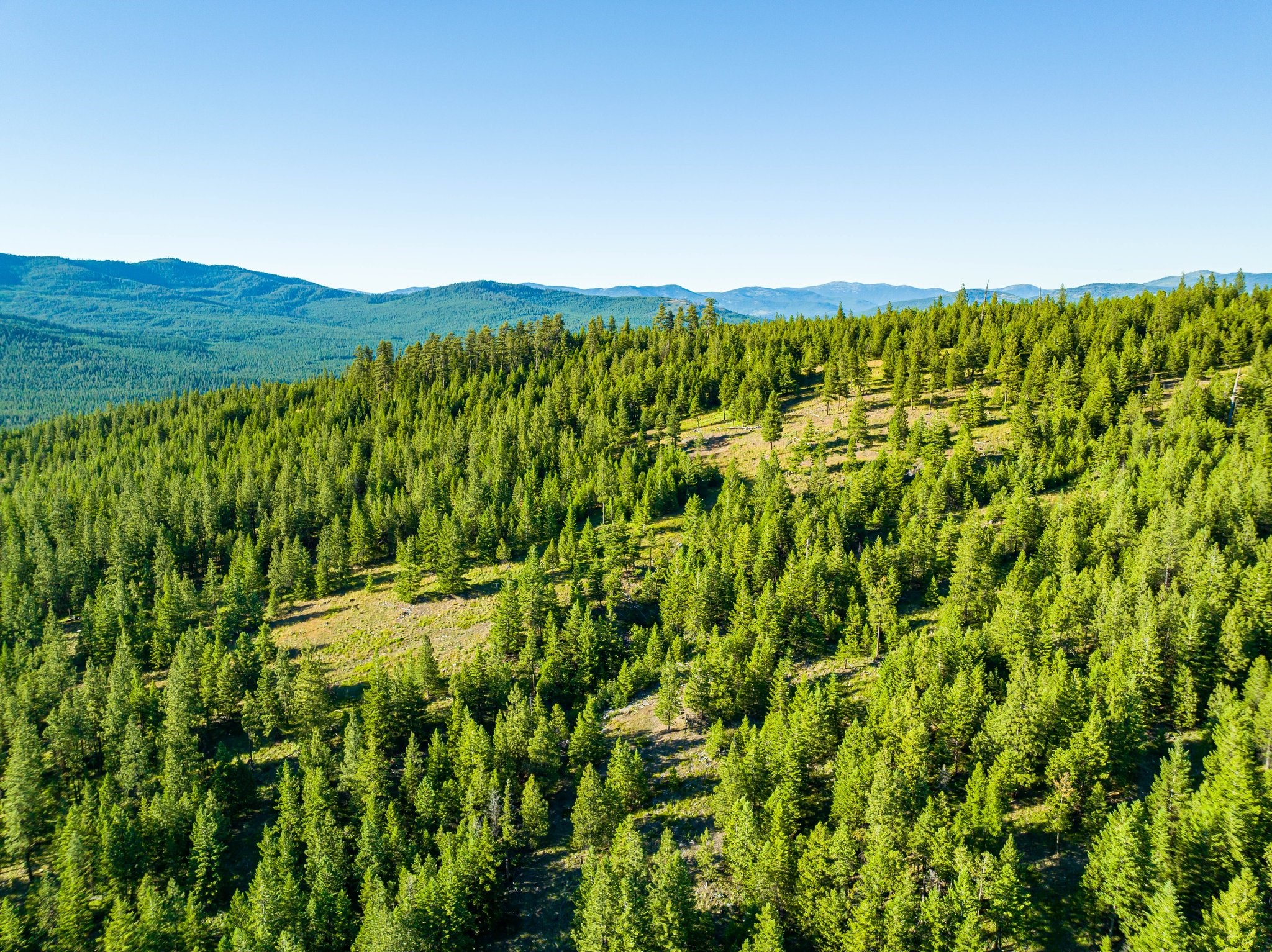 467 Wolf Creek Road Property Photo 14