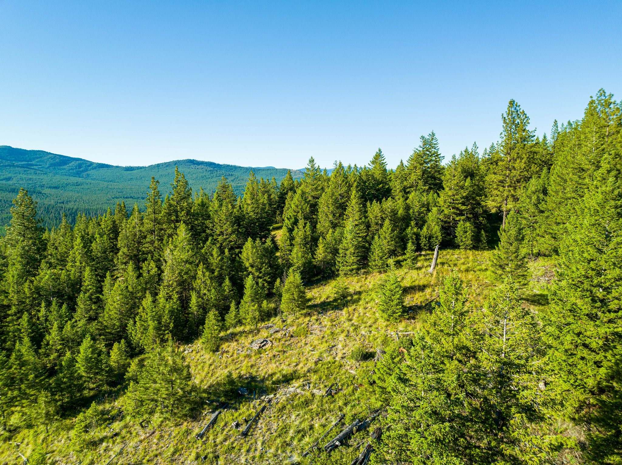 467 Wolf Creek Road Property Photo 15