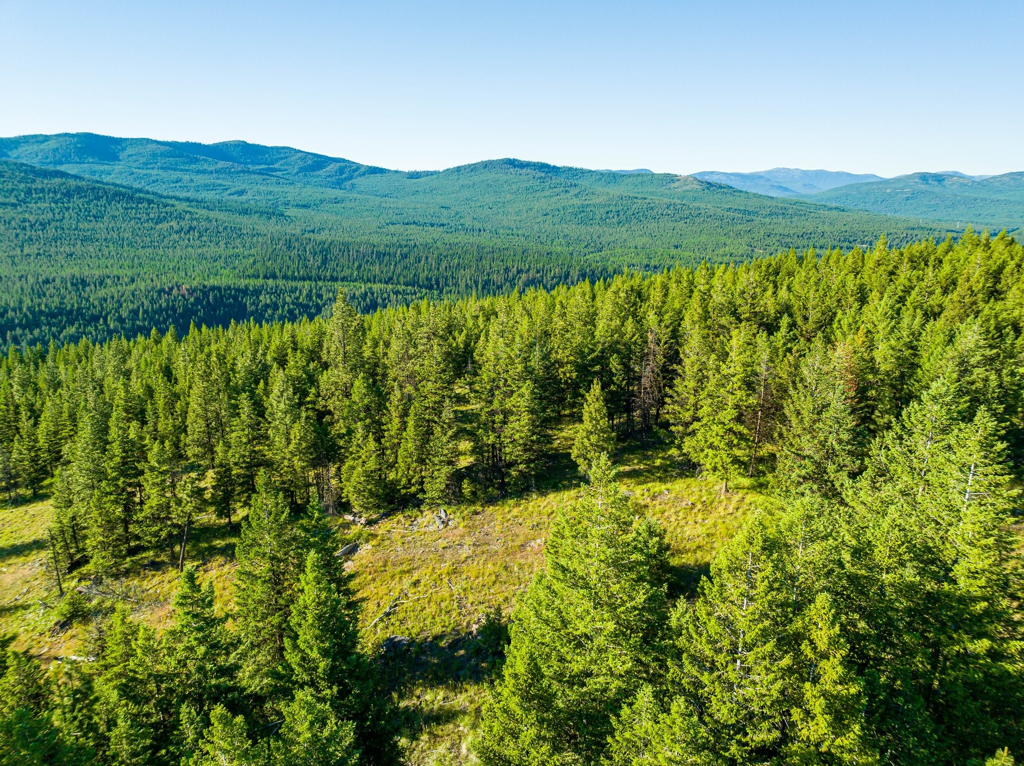 467 Wolf Creek Road Property Photo 16