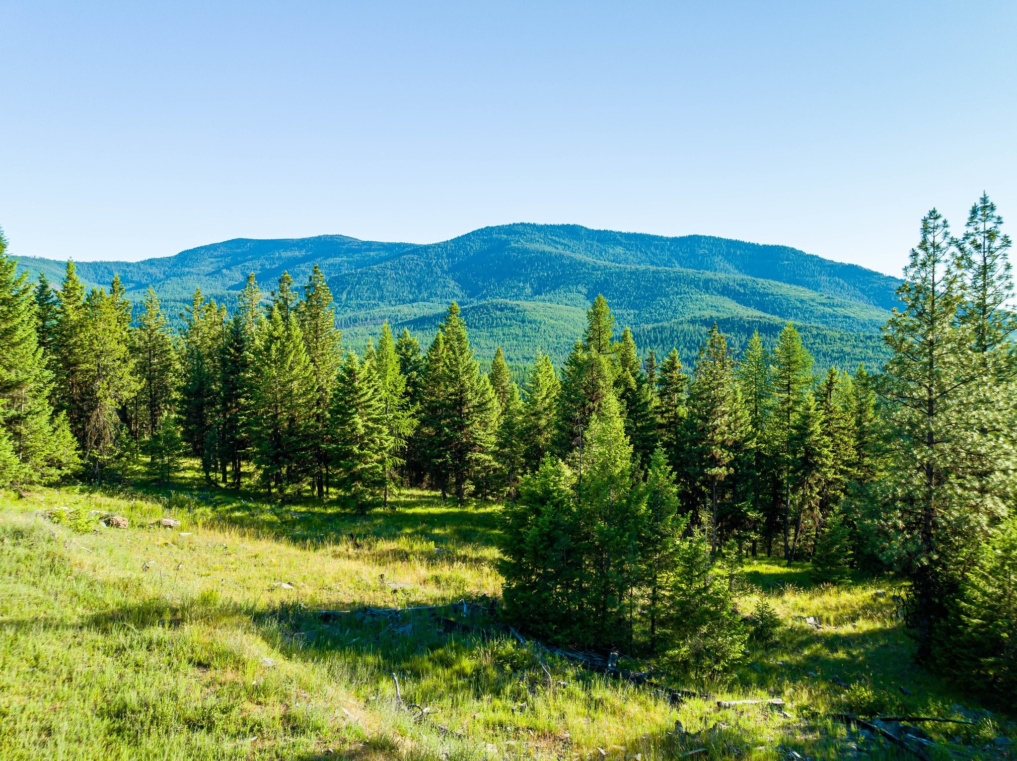 467 Wolf Creek Road Property Photo 19