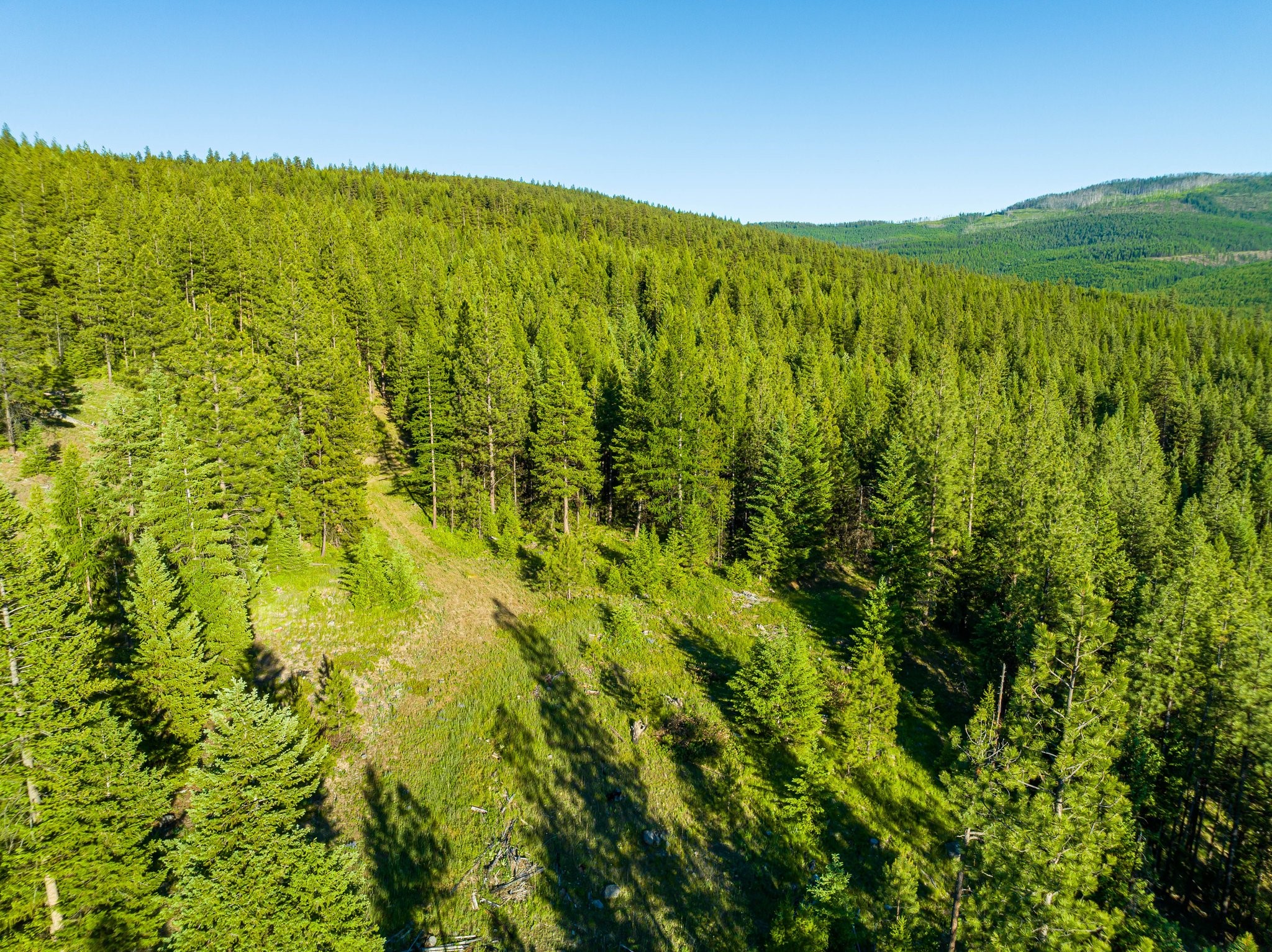 467 Wolf Creek Road Property Photo 22