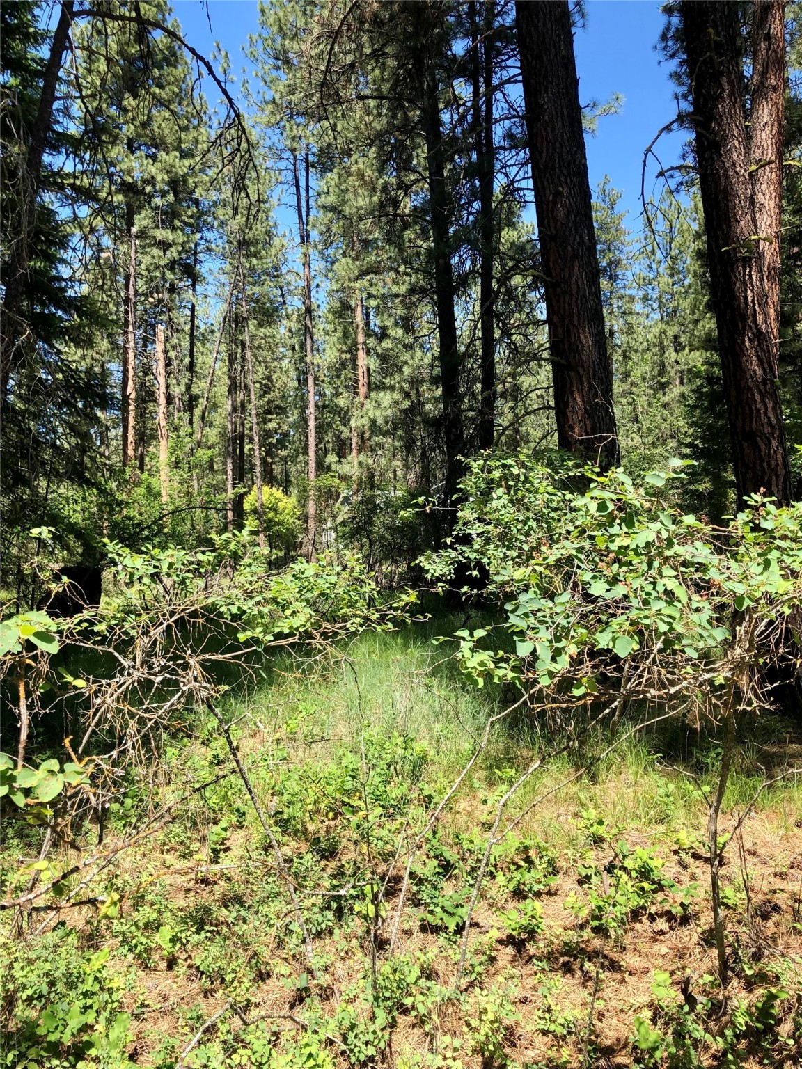 Nhn Syringa Lane Property Photo 4