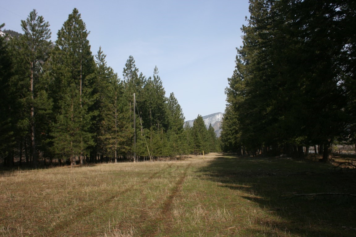 Nhn Tract 1-d River Road W Property Photo 24