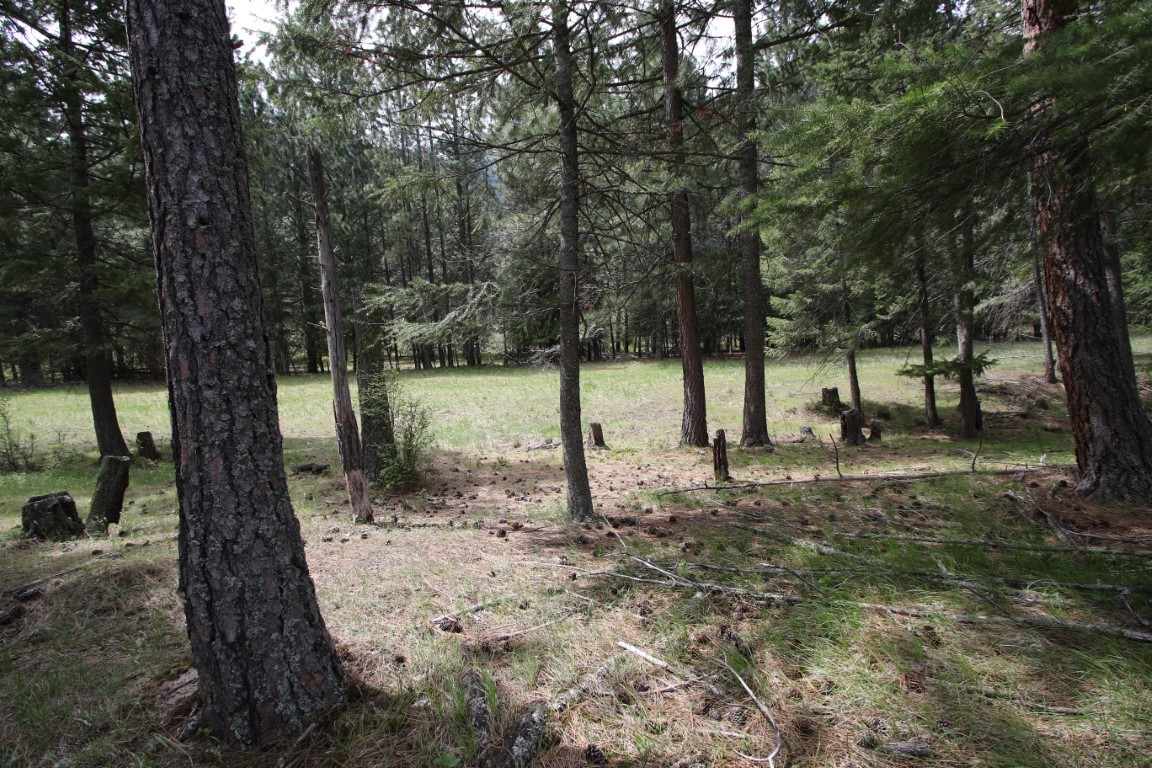 Nhn Tract 1-d River Road W Property Photo 25
