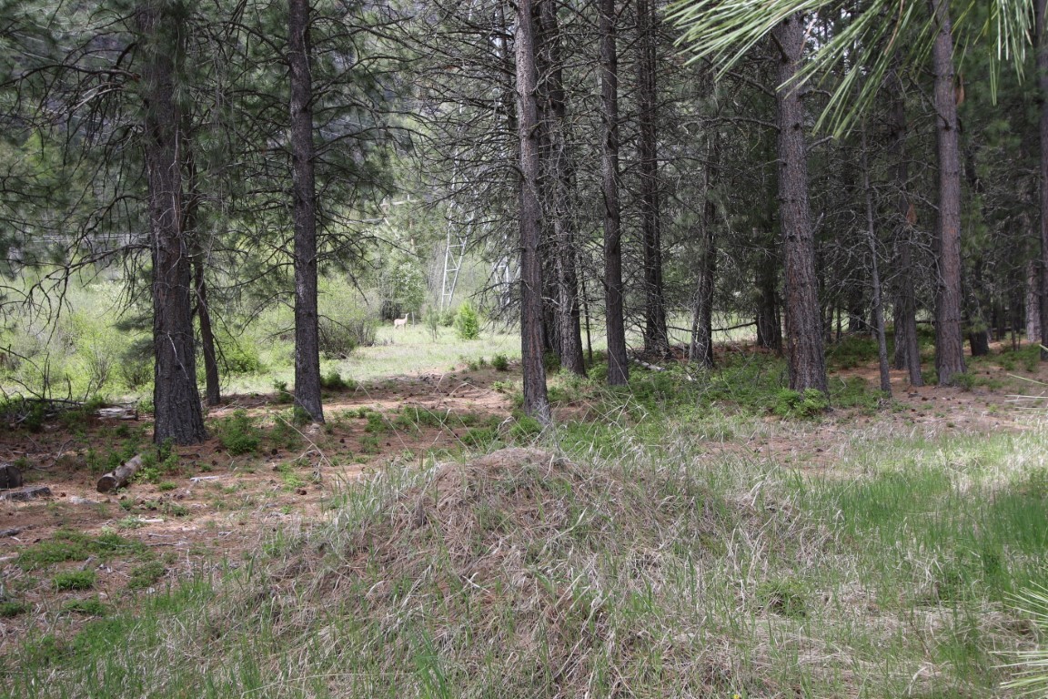 Nhn Tract 1-d River Road W Property Photo 27