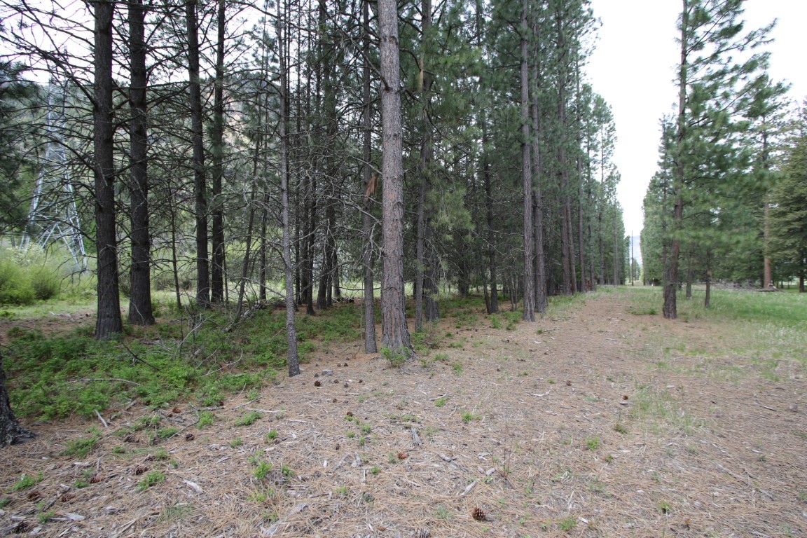 Nhn Tract 1-d River Road W Property Photo 29