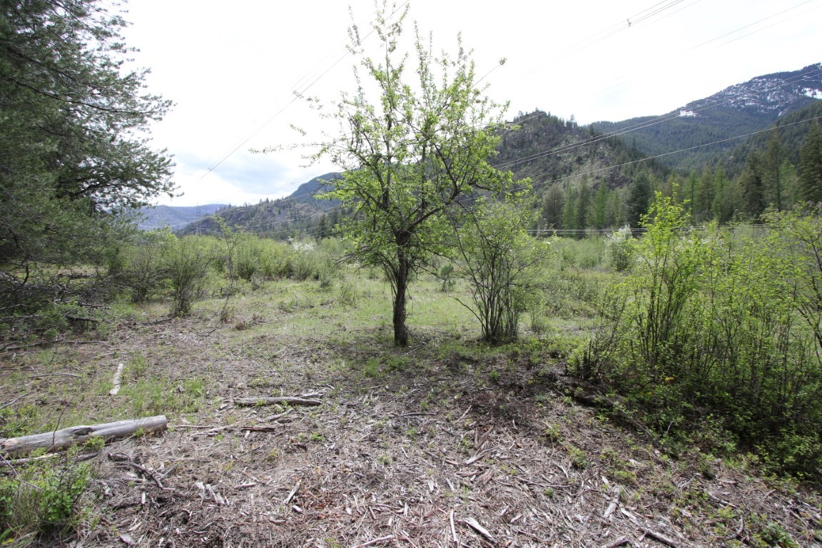 Nhn Tract 1-d River Road W Property Photo 40