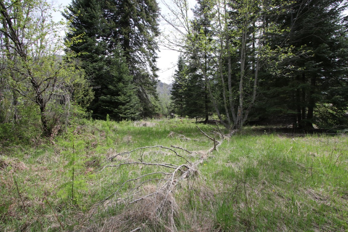 Nhn Tract 1-b River Road W Property Photo 16