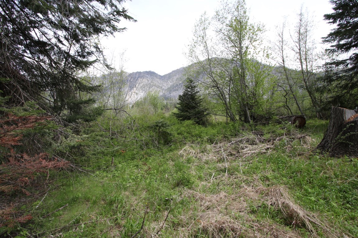 Nhn Tract 1-b River Road W Property Photo 17