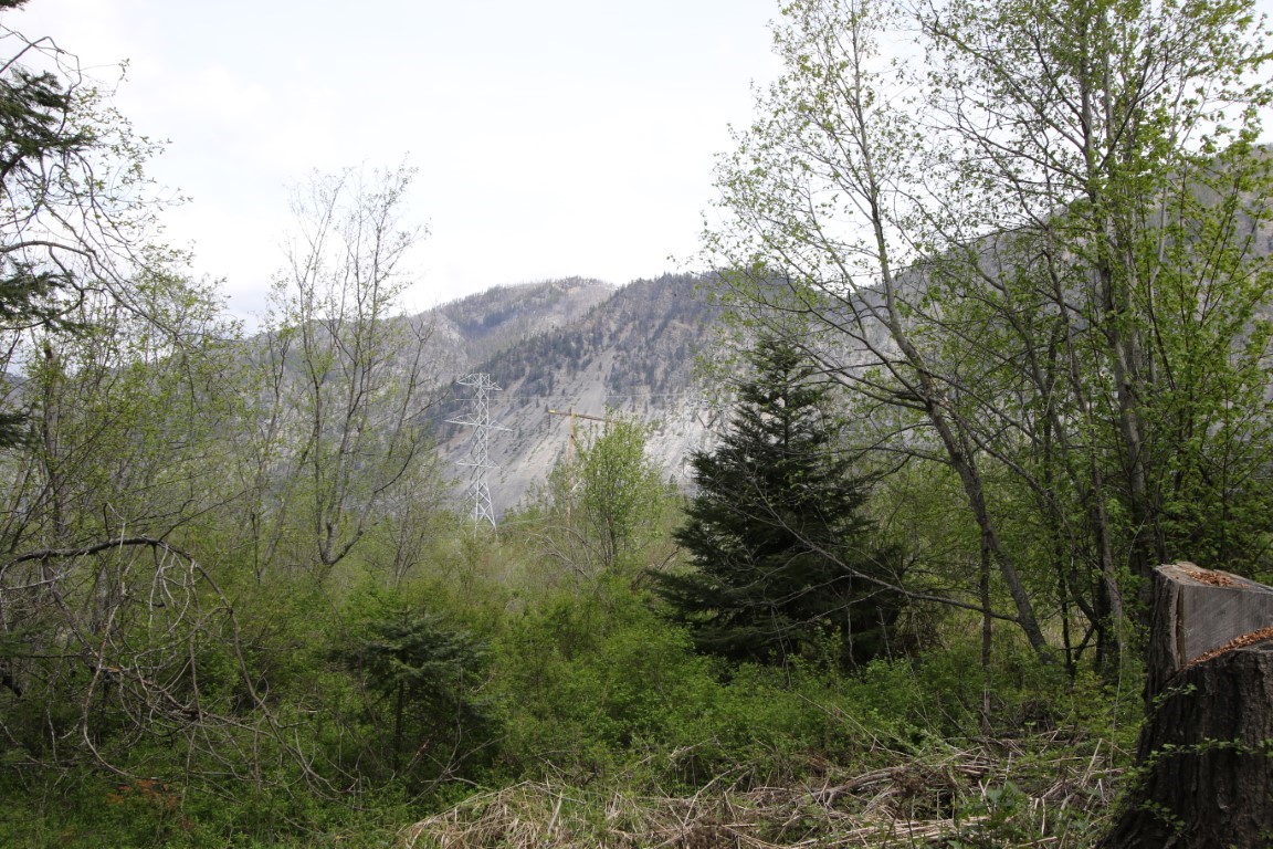 Nhn Tract 1-b River Road W Property Photo 18