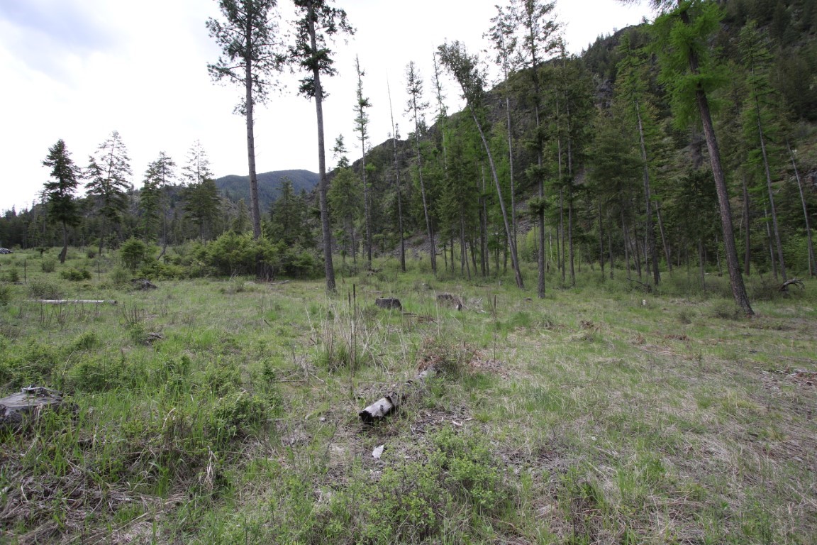 Nhn Tract 1-b River Road W Property Photo 20