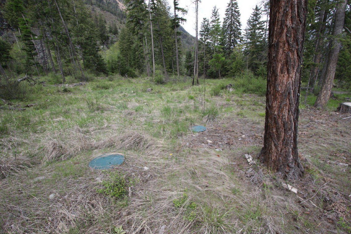 Nhn Tract 1-b River Road W Property Photo 21