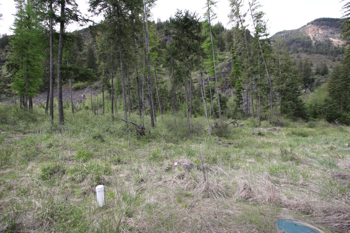 Nhn Tract 1-b River Road W Property Photo 23