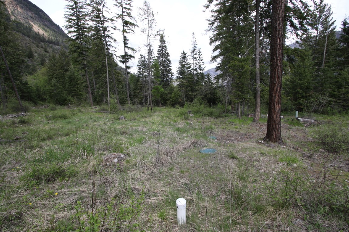 Nhn Tract 1-b River Road W Property Photo 24