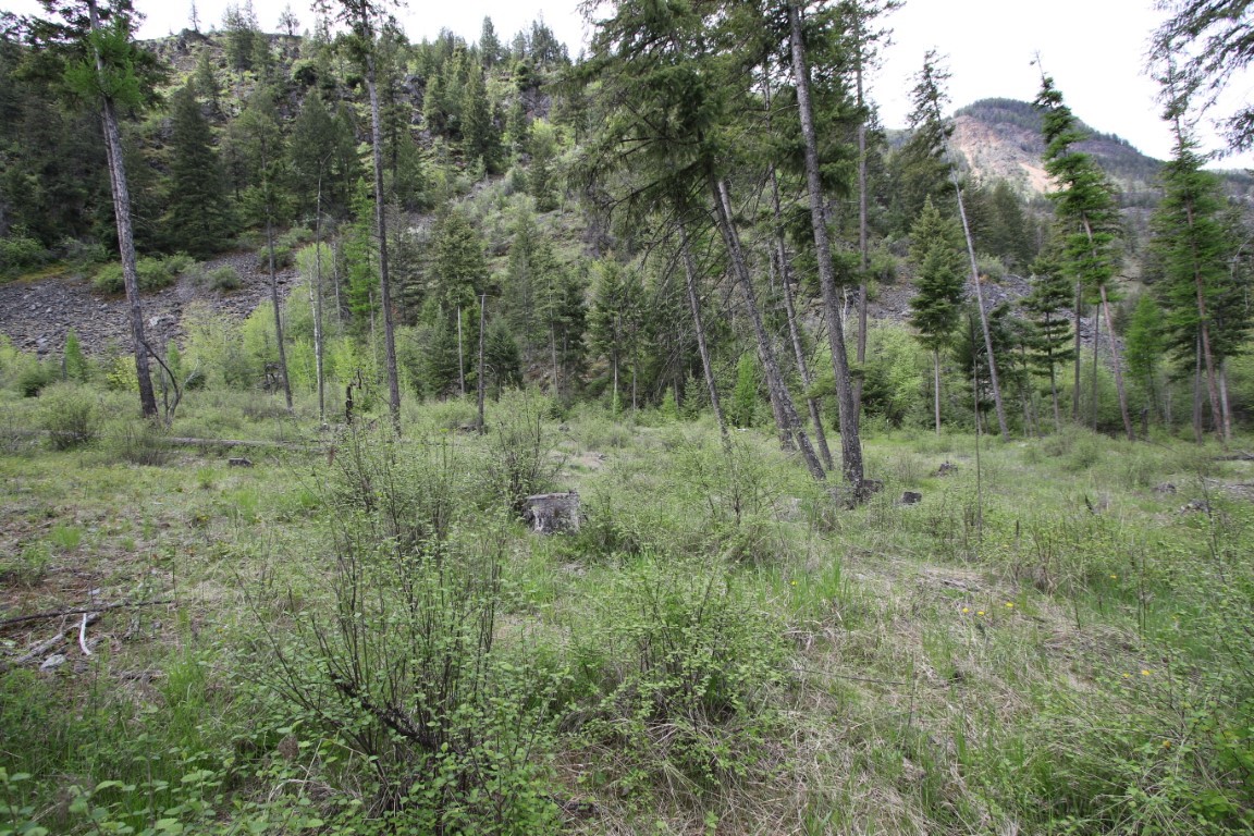 Nhn Tract 1-b River Road W Property Photo 25