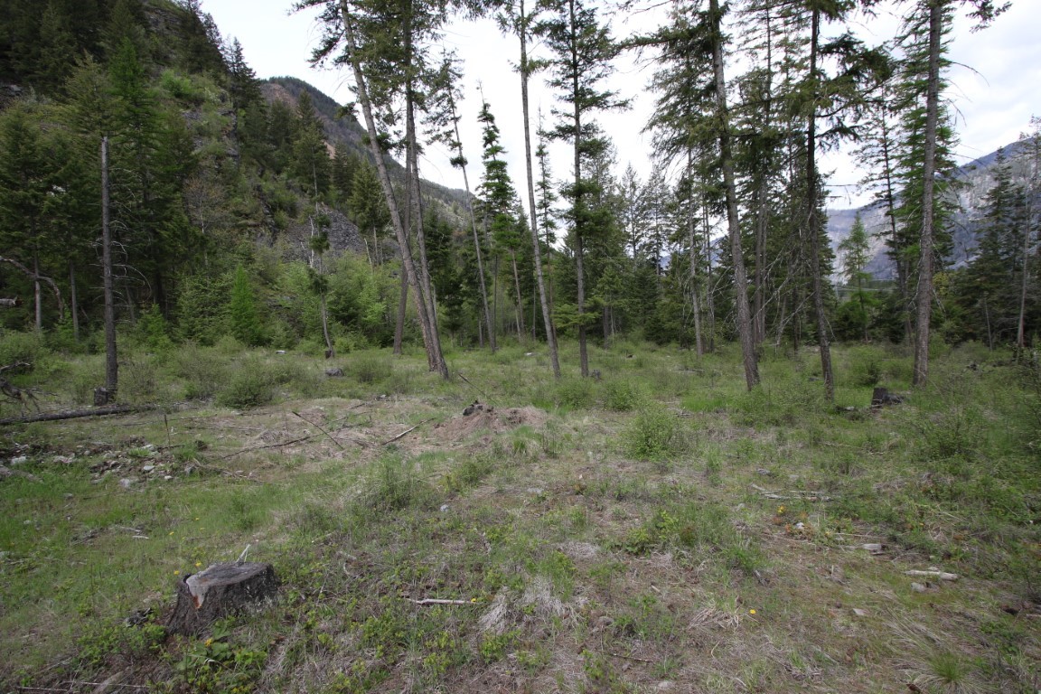 Nhn Tract 1-b River Road W Property Photo 27