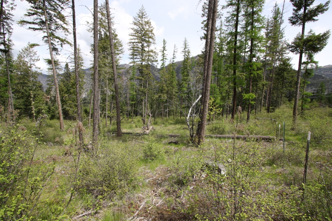 Nhn Tract 1-b River Road W Property Photo 28