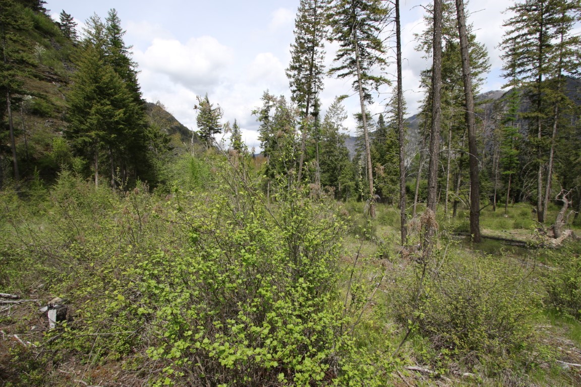 Nhn Tract 1-b River Road W Property Photo 29