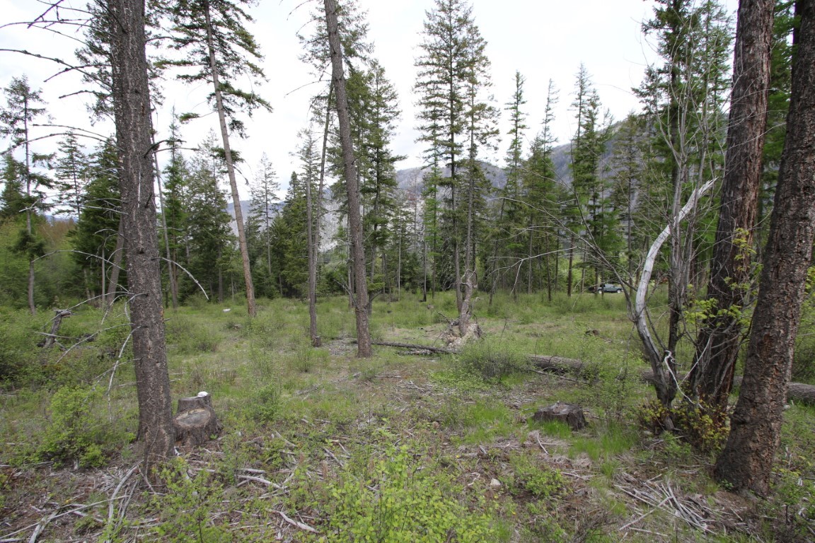 Nhn Tract 1-b River Road W Property Photo 30