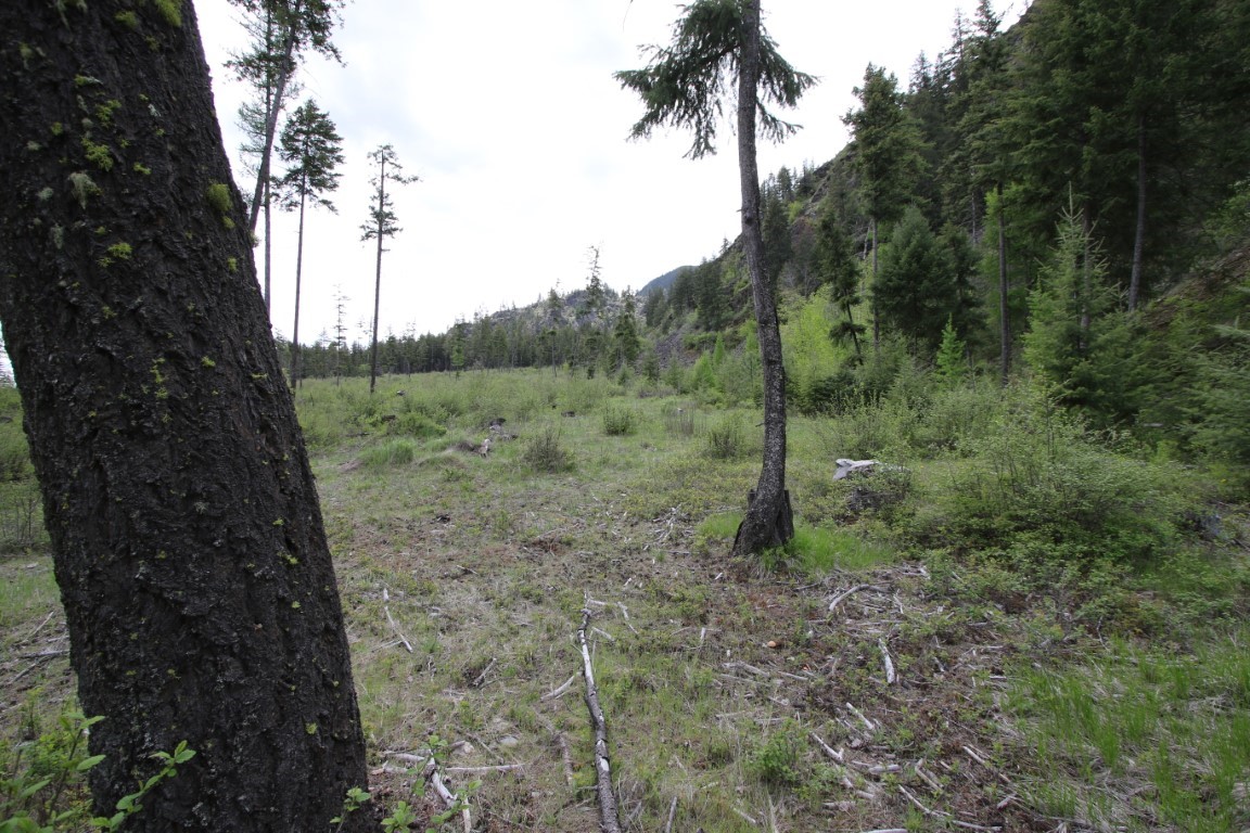 Nhn Tract 1-b River Road W Property Photo 31