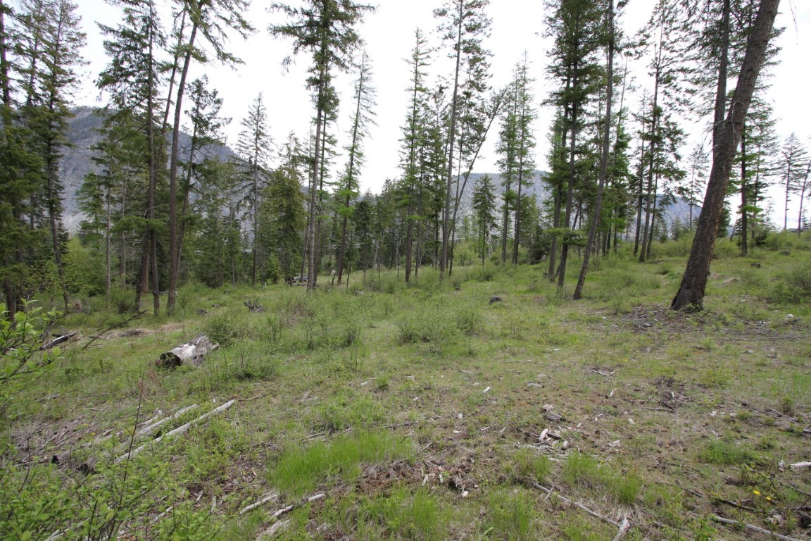 Nhn Tract 1-b River Road W Property Photo 32