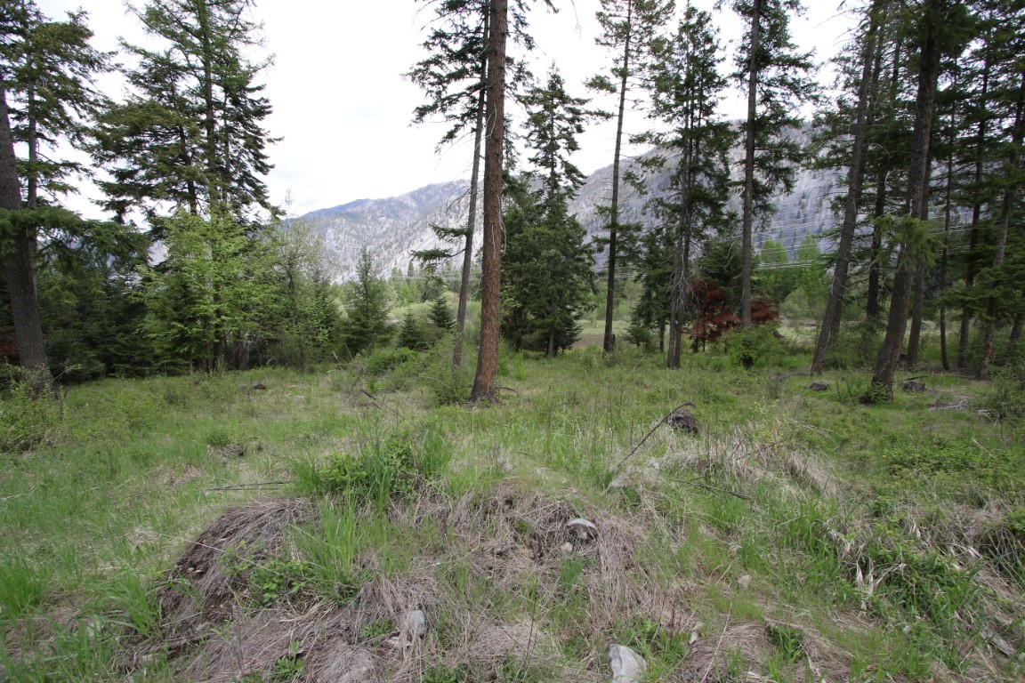 Nhn Tract 1-b River Road W Property Photo 33