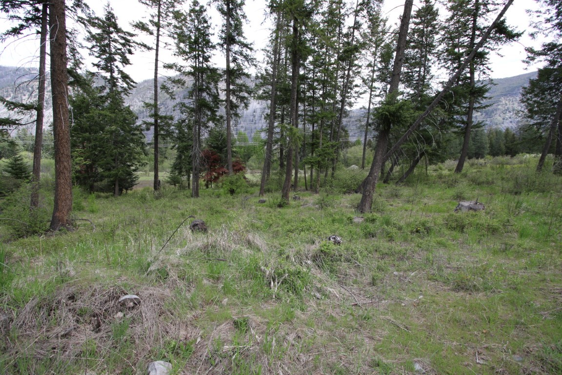 Nhn Tract 1-b River Road W Property Photo 34