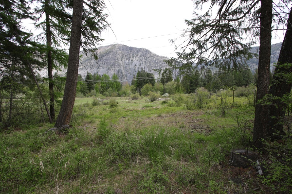 Nhn Tract 1-b River Road W Property Photo 35