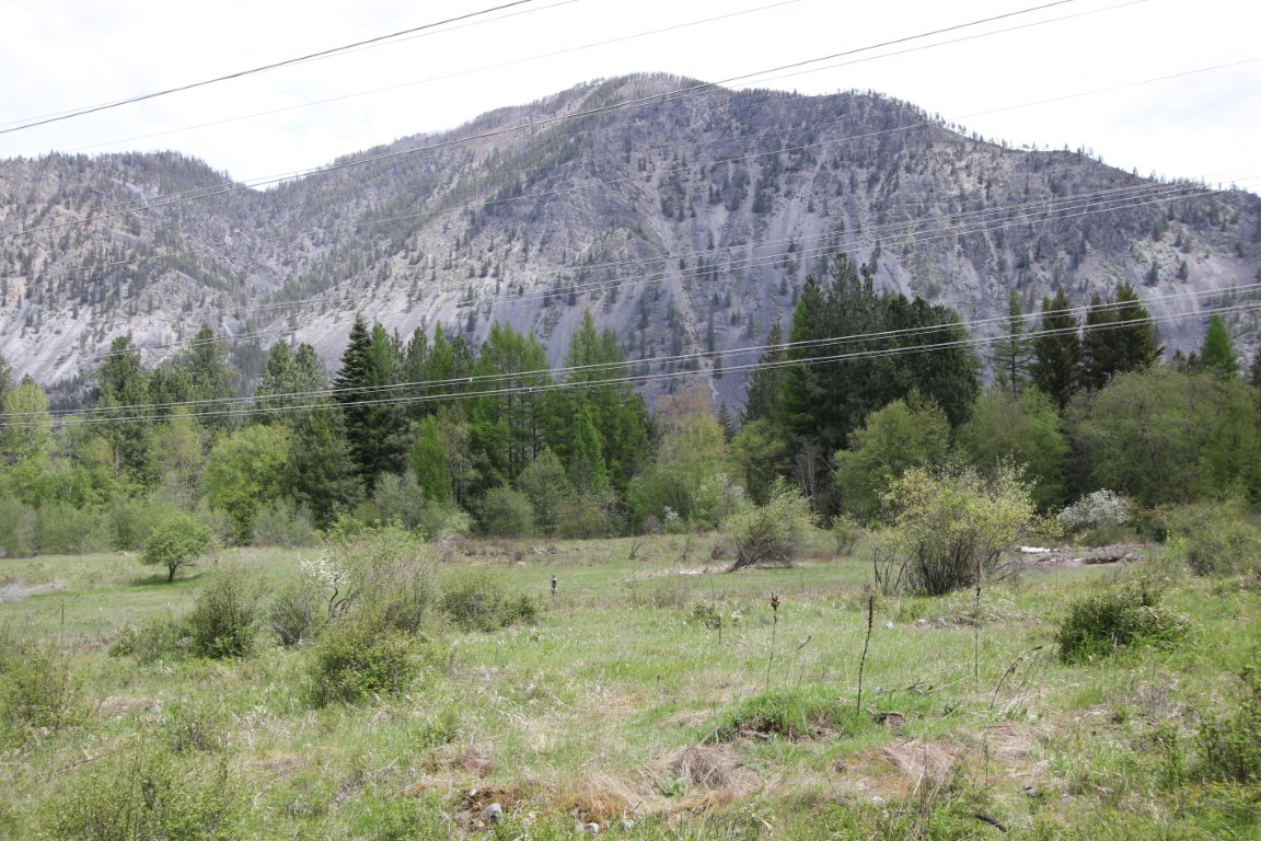 Nhn Tract 1-b River Road W Property Photo 37