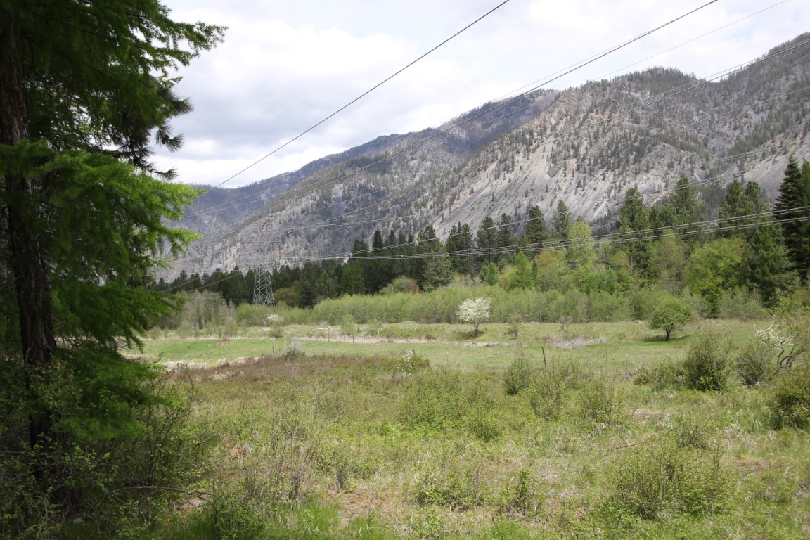 Nhn Tract 1-b River Road W Property Photo 38