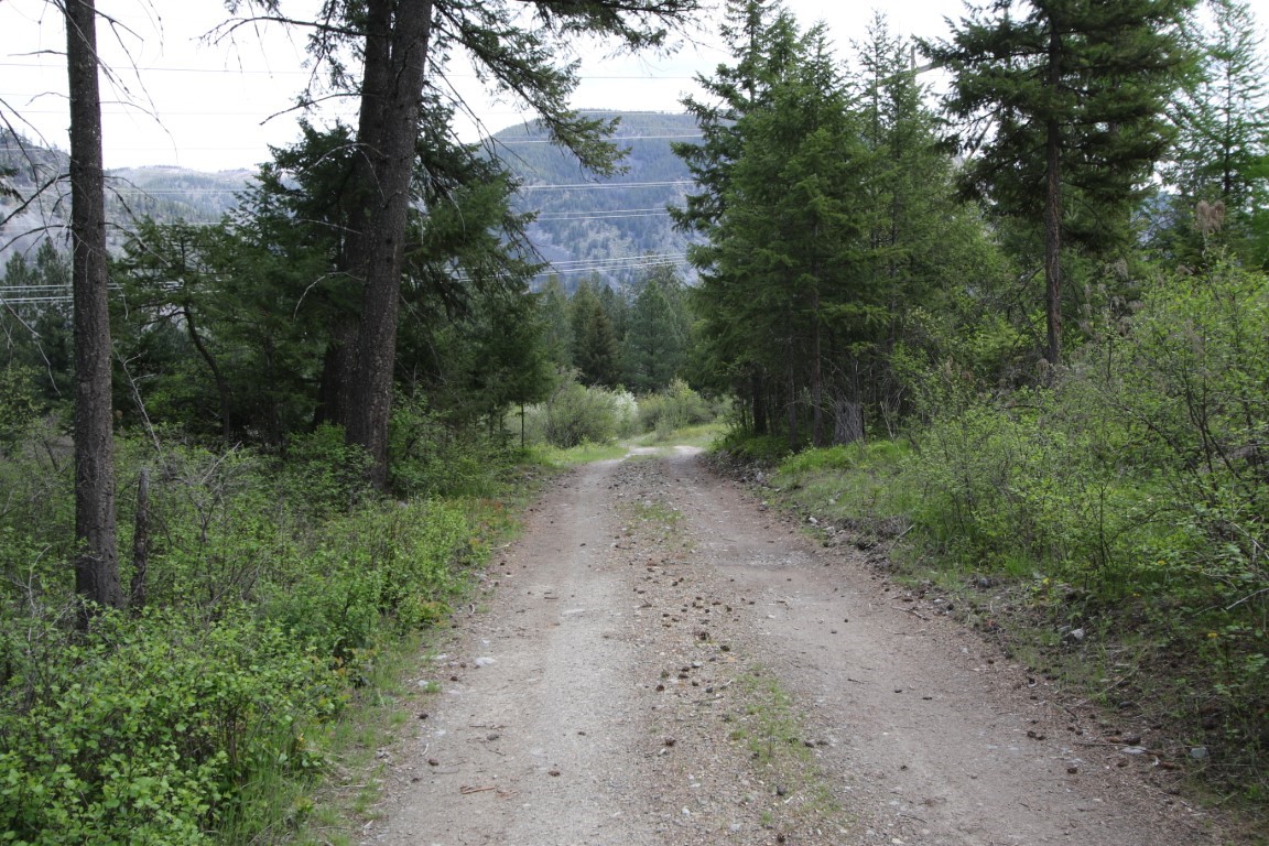 Nhn Tract 1-b River Road W Property Photo 39