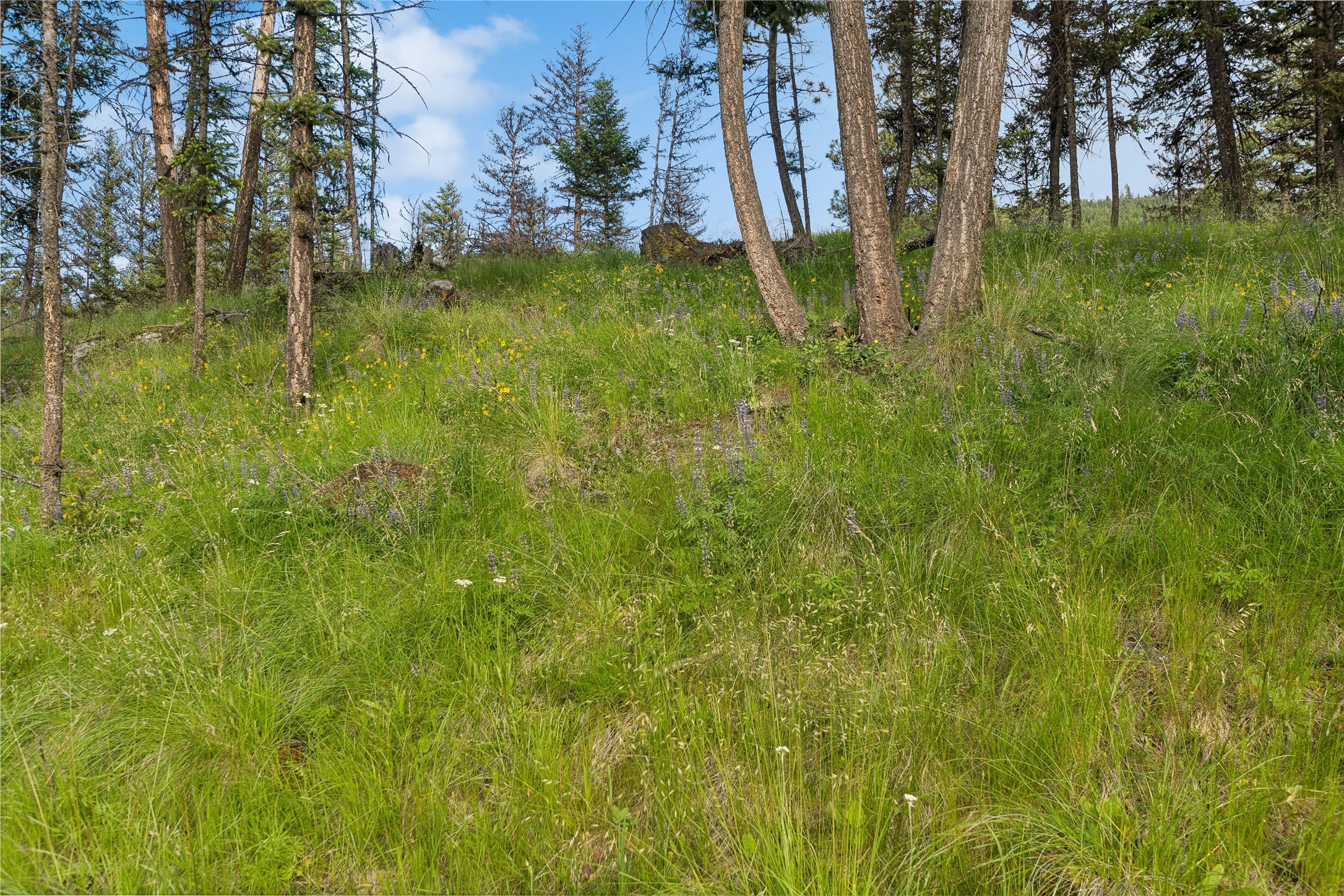 8100 Us Highway 2 W Property Photo 12