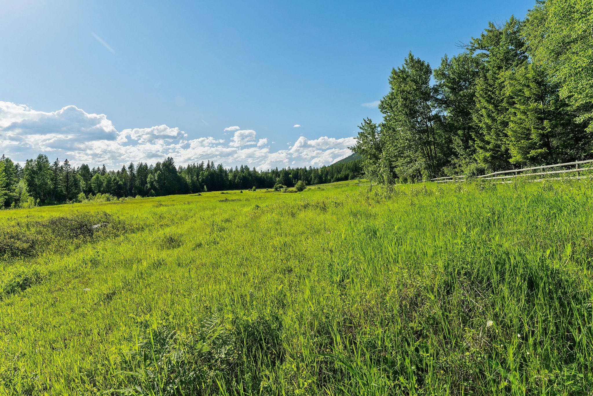 2750 Big Mountain Road Property Photo 88