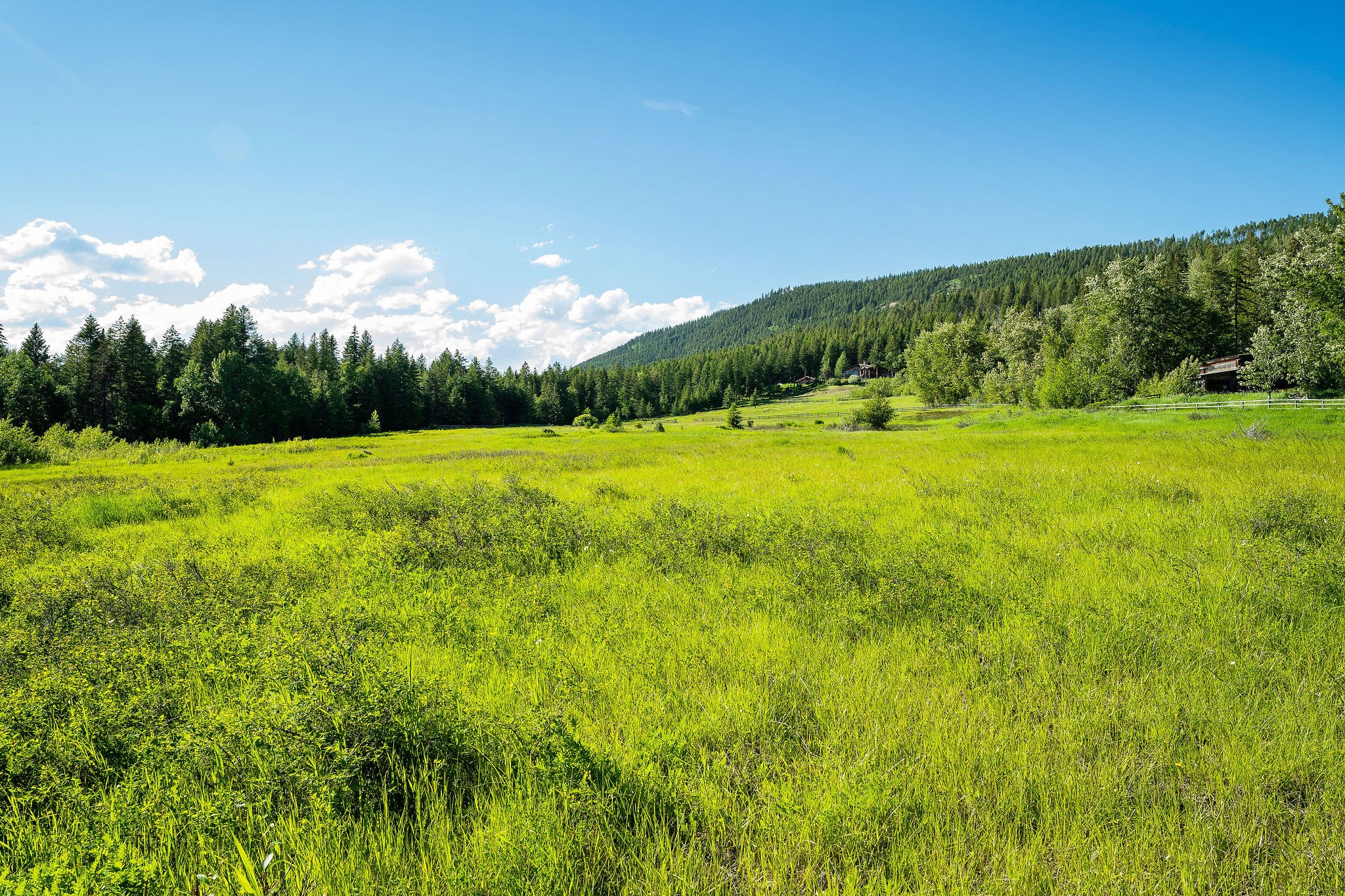2750 Big Mountain Road Property Photo 89