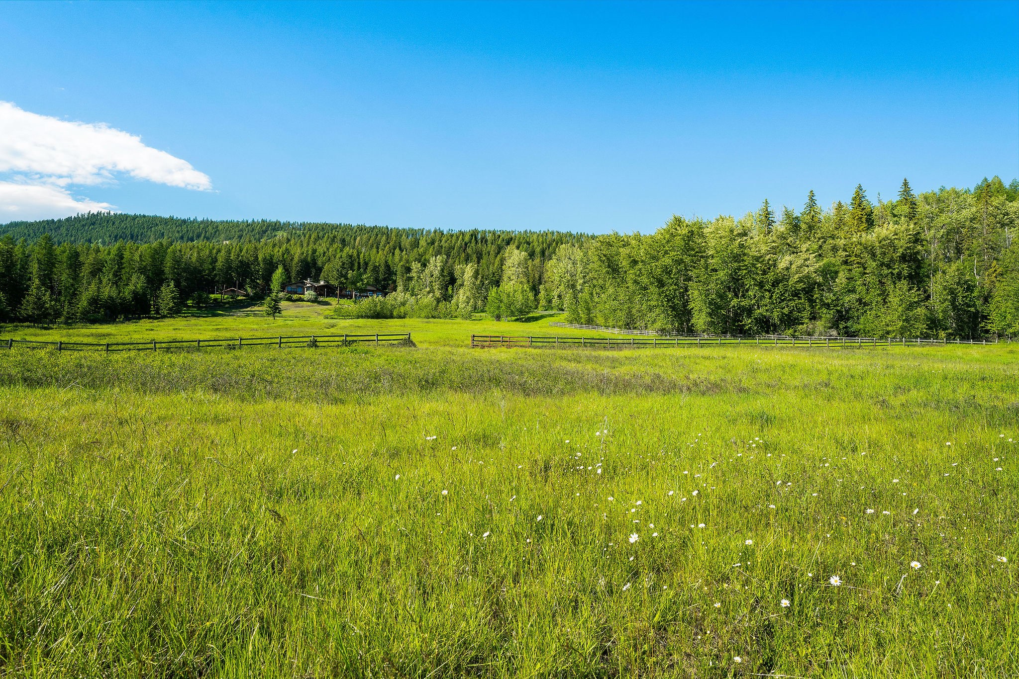 2750 Big Mountain Road Property Photo 91