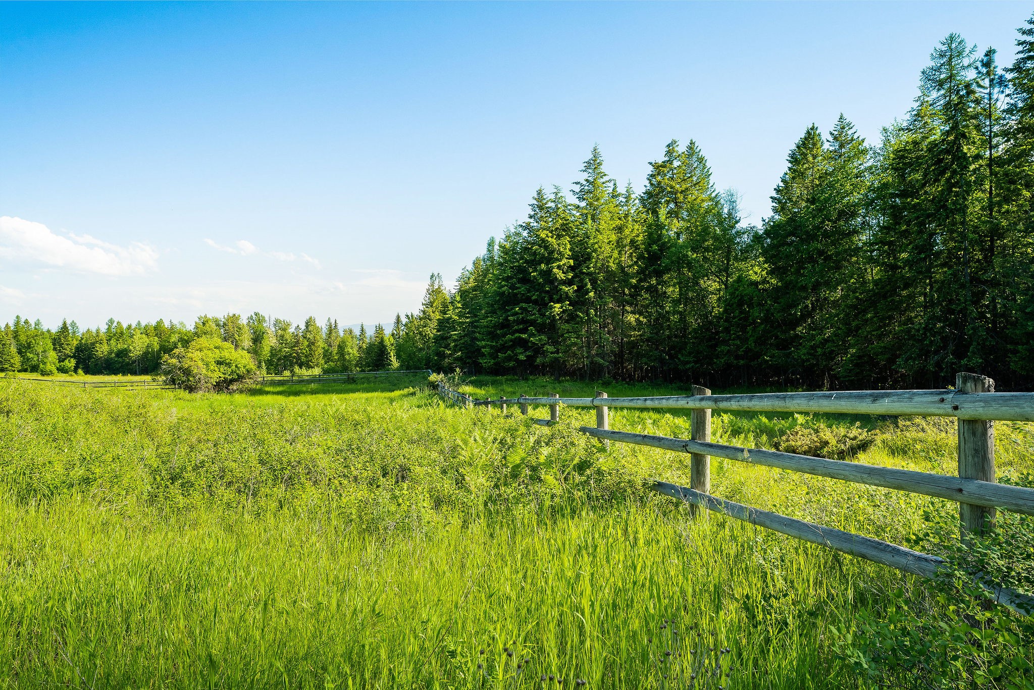 2750 Big Mountain Road Property Photo 92
