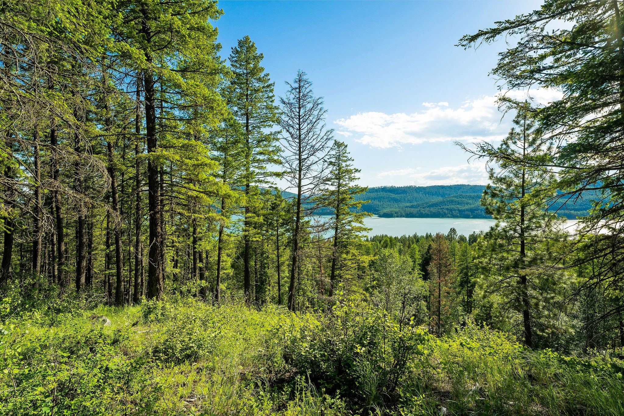2750 Big Mountain Road Property Photo 93