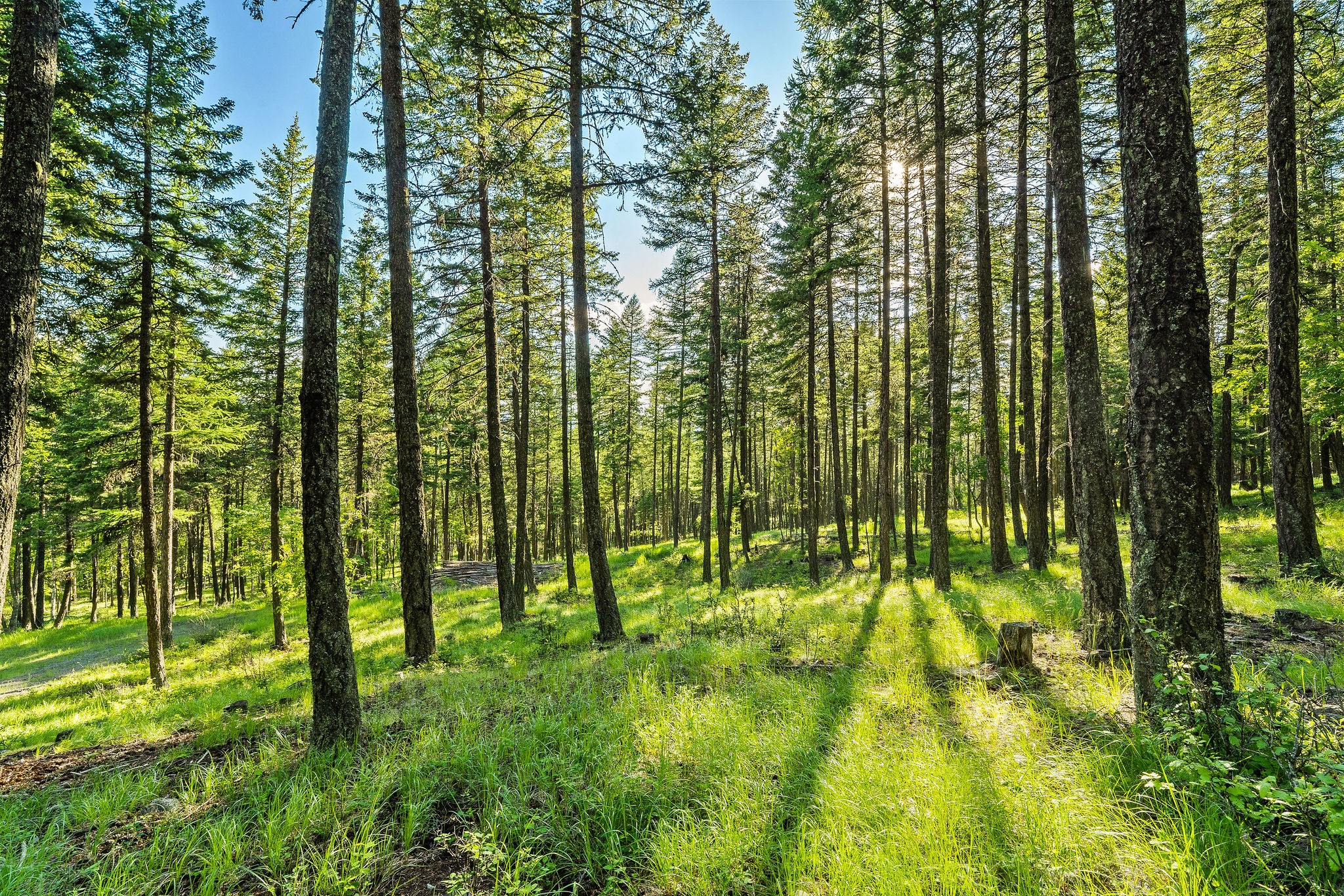 2750 Big Mountain Road Property Photo 96