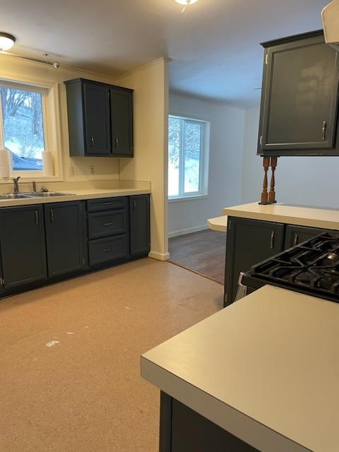 2750 Big Mountain Road Property Photo 113
