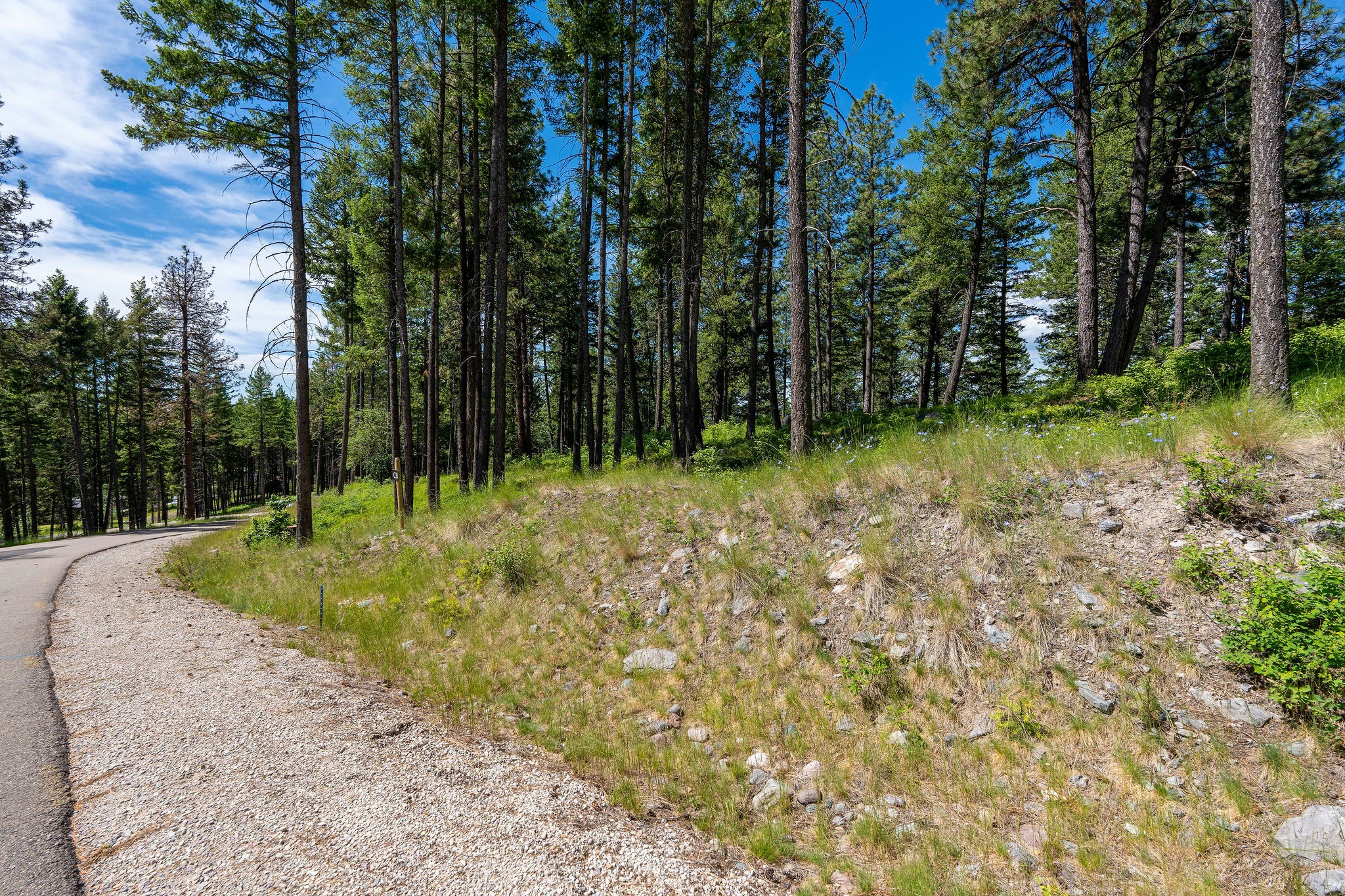 345 Chief Cliff Trail Property Photo 9