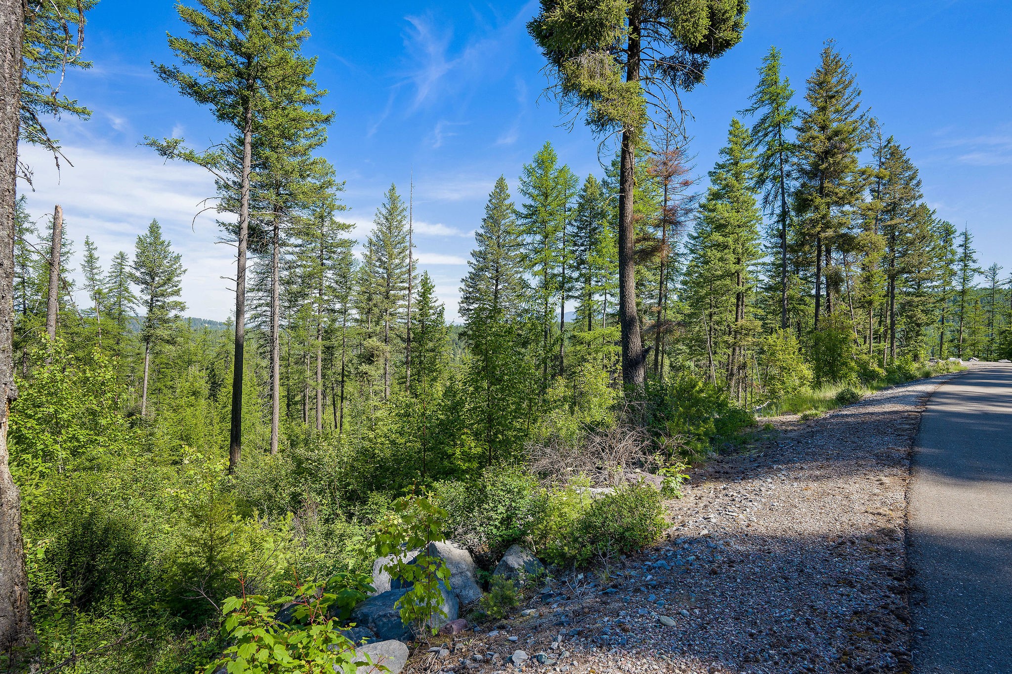 173 Timberjack Trail Property Photo 22