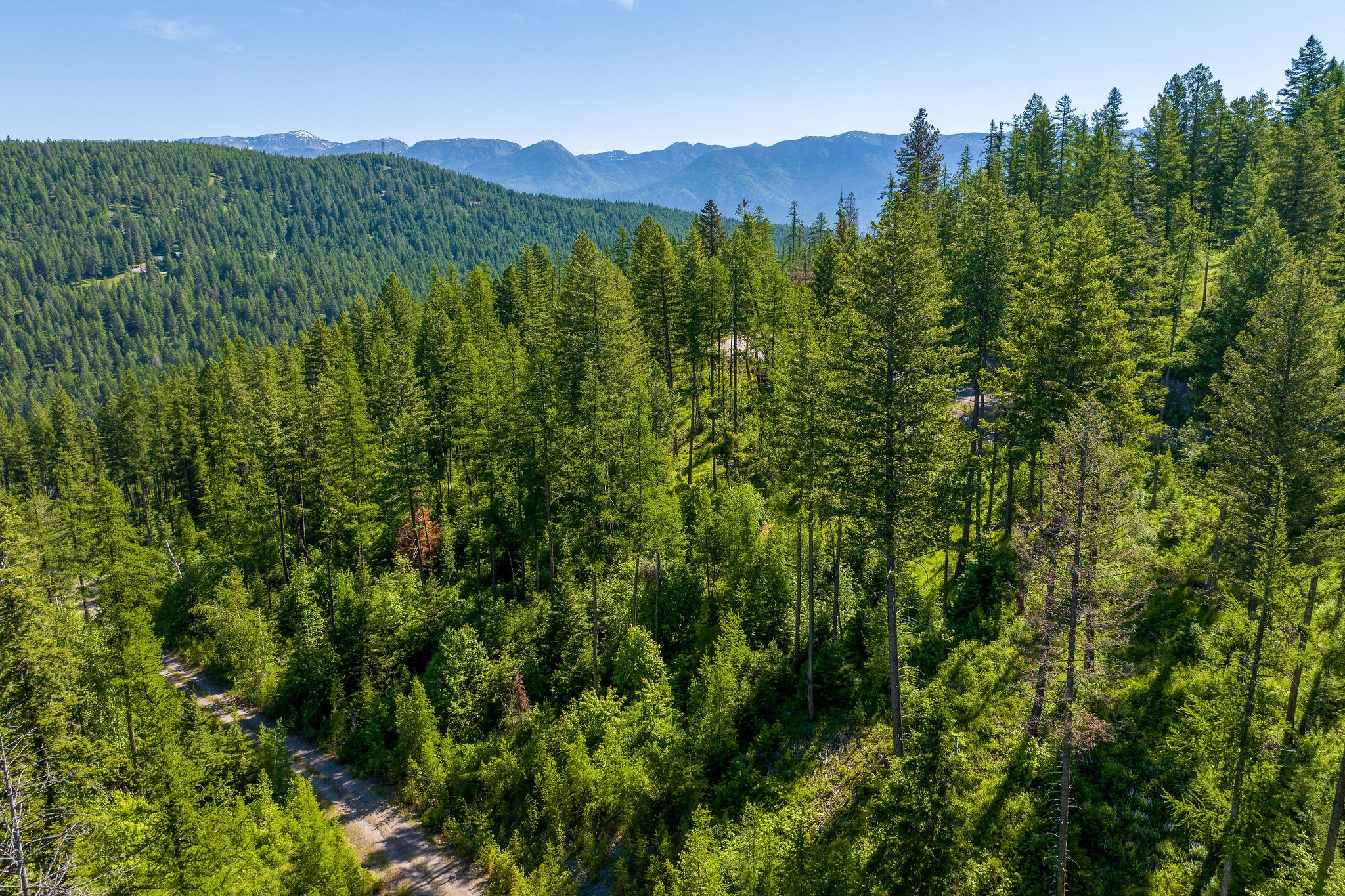 173 Timberjack Trail Property Photo 33