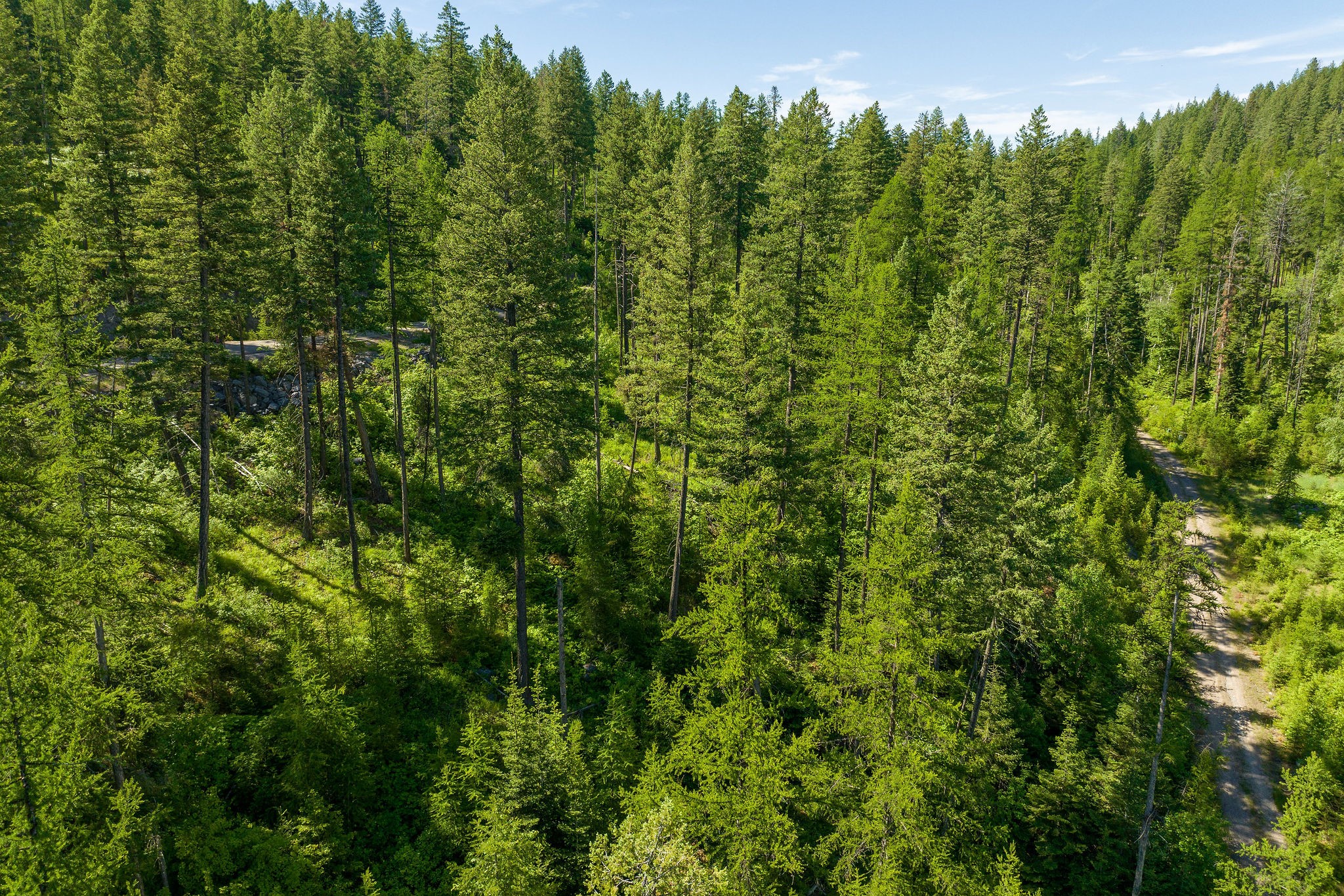 173 Timberjack Trail Property Photo 35