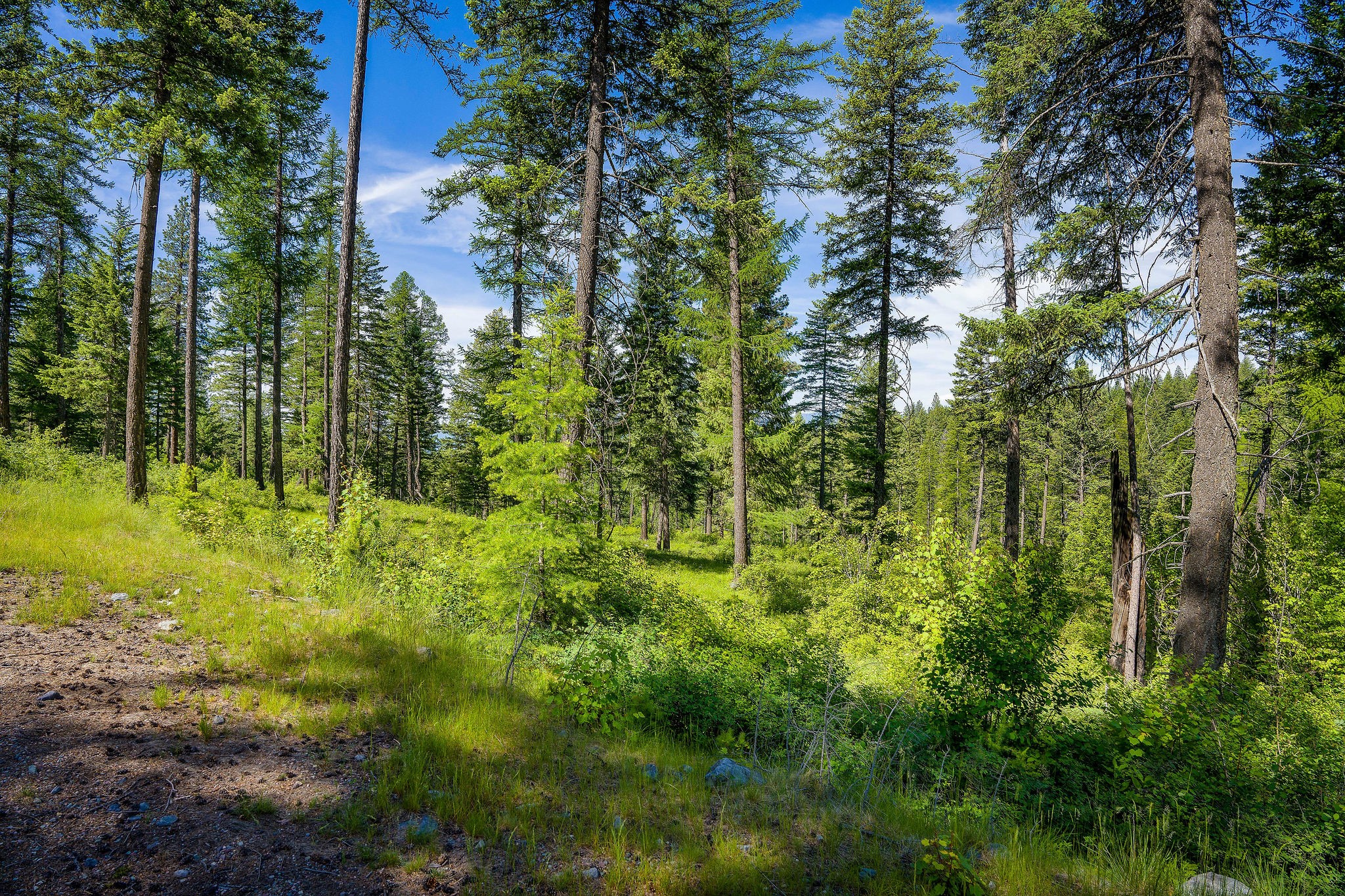 678 Saddlehorn Trail Property Photo 22