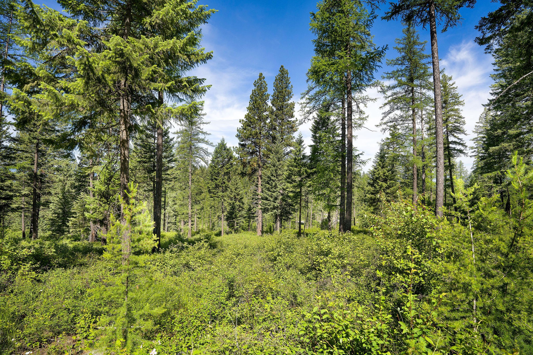 678 Saddlehorn Trail Property Photo 23
