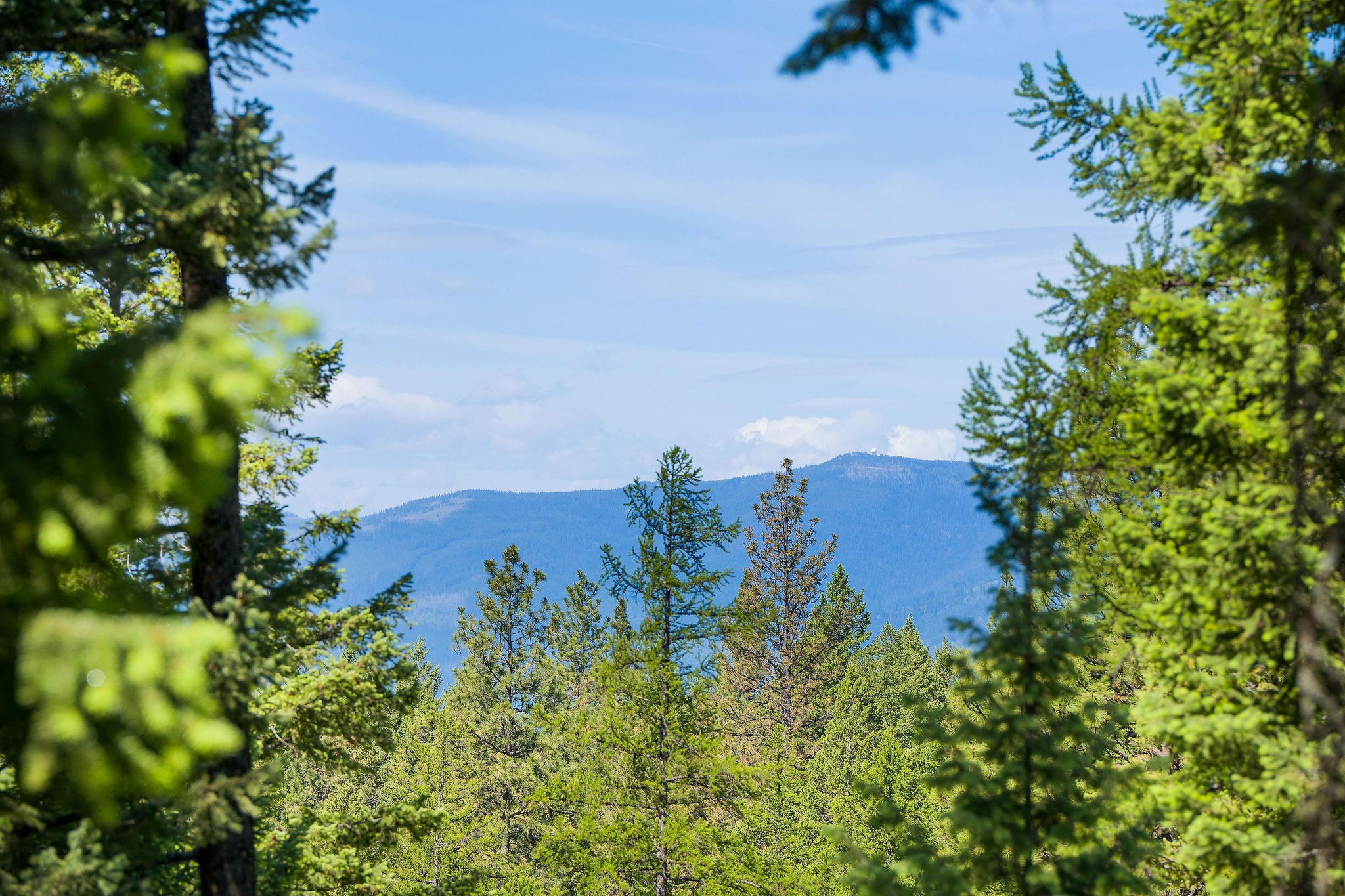 678 Saddlehorn Trail Property Photo 26