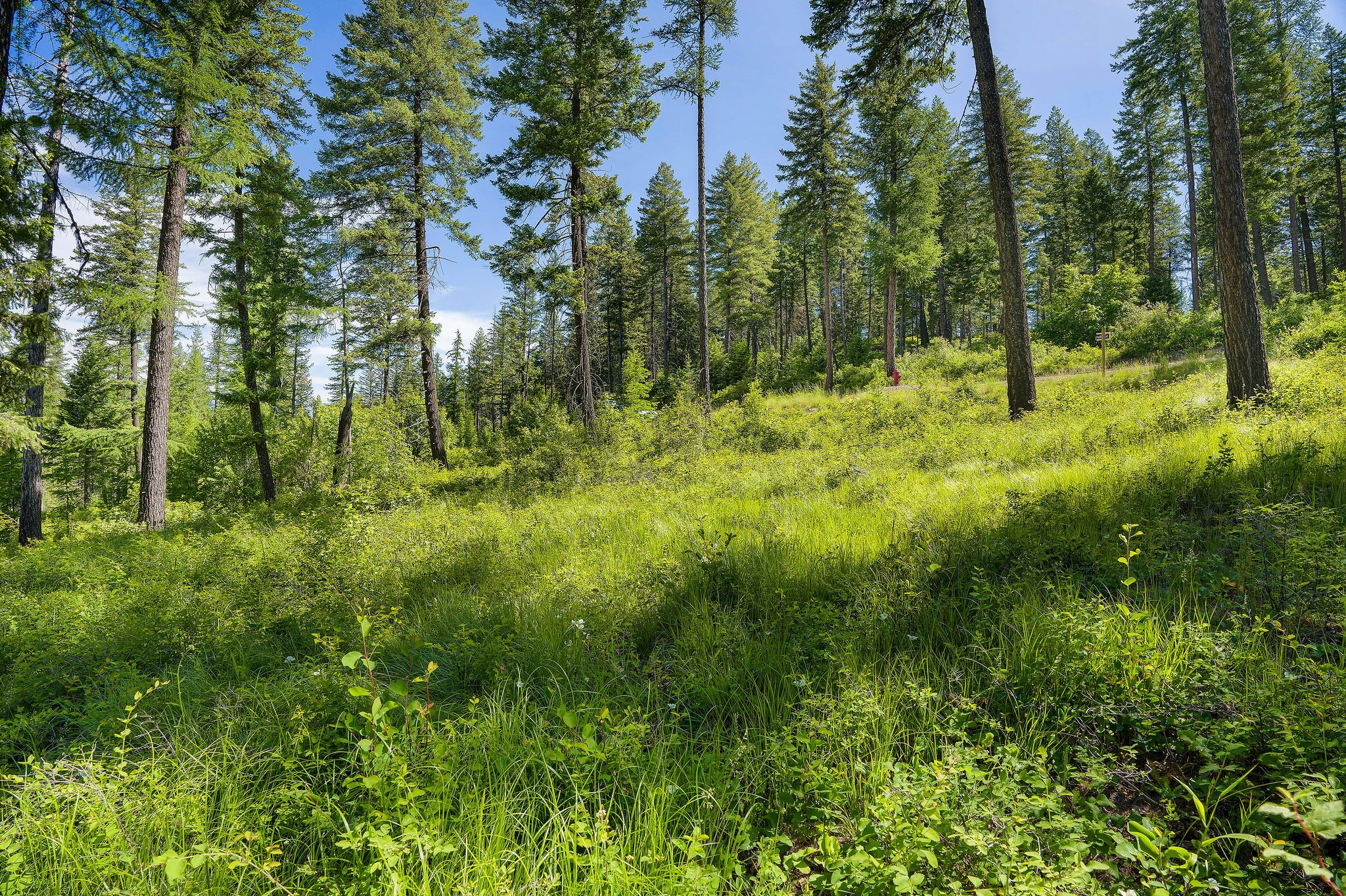 678 Saddlehorn Trail Property Photo 27